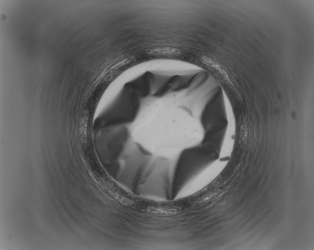 X0000081450739200702021742