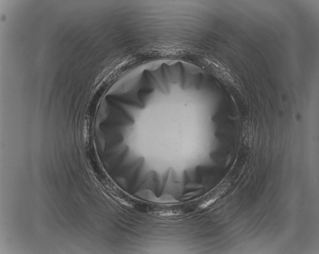 X0000081450740200702021742