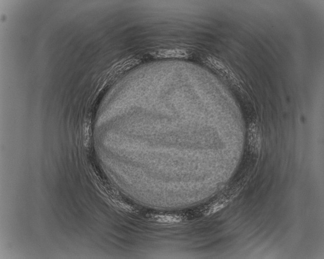 X0000081450741200702021742