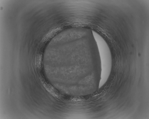 X0000081450742200702021742