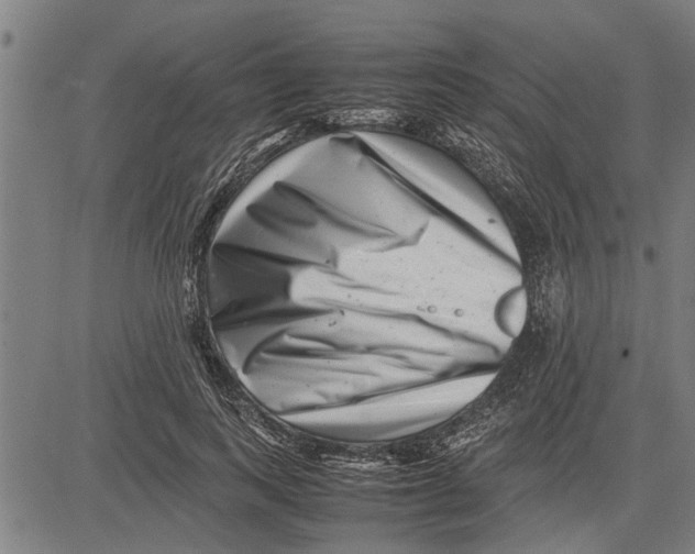 X0000081450743200702021742