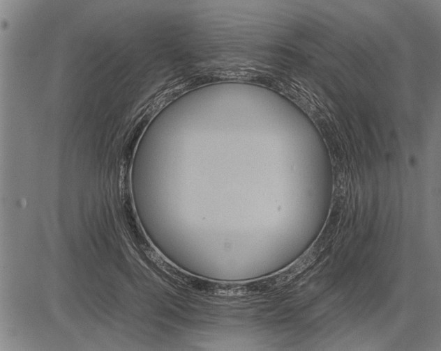 X0000081450744200702021742