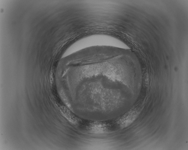 X0000081450746200702021742