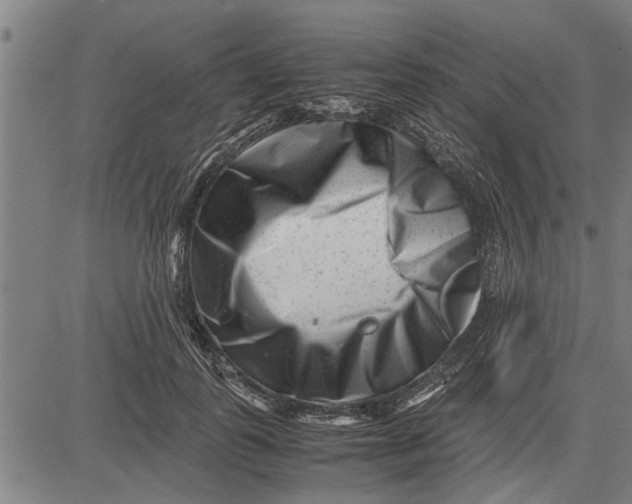 X0000081450747200702021742