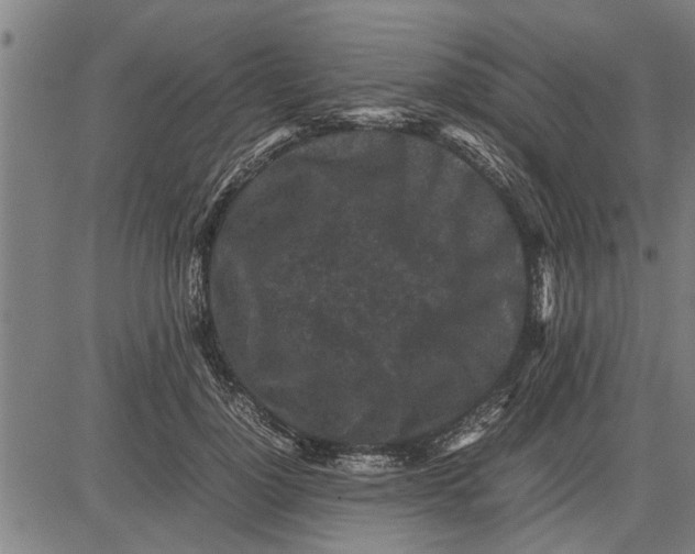 X0000081450748200702021742