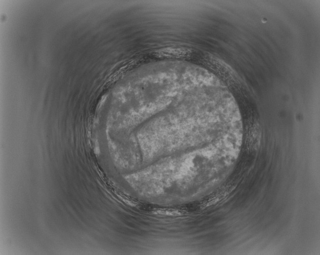 X0000081450749200702021742