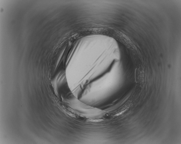 X0000081450750200702021742