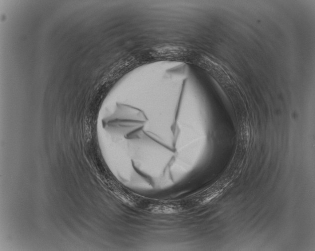 X0000081450751200702021742