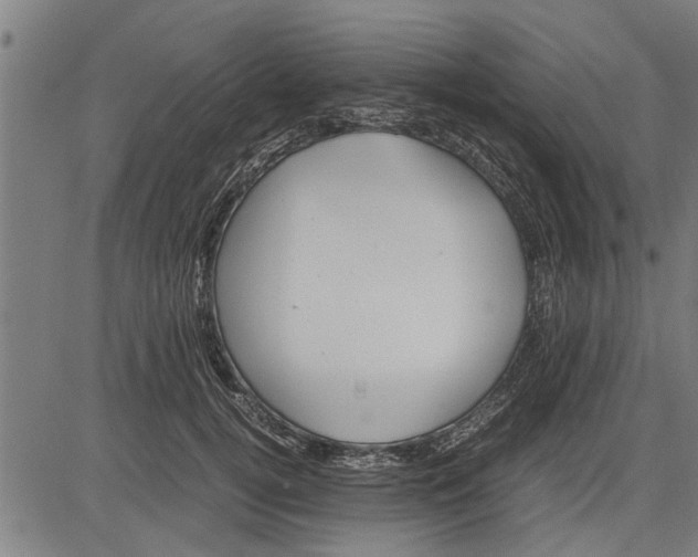 X0000081450752200702021742