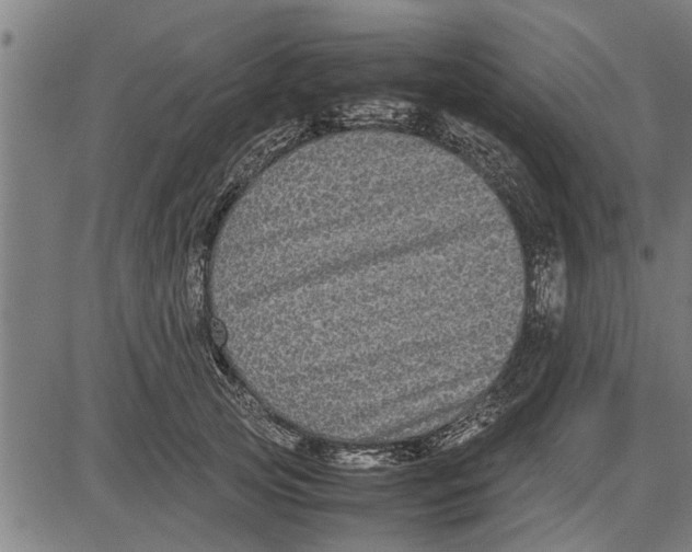 X0000081450753200702021742