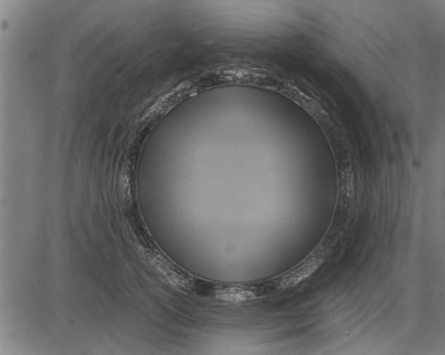 X0000081450754200702021742