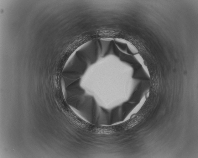 X0000081450755200702021742