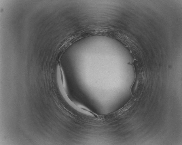 X0000081450756200702021742