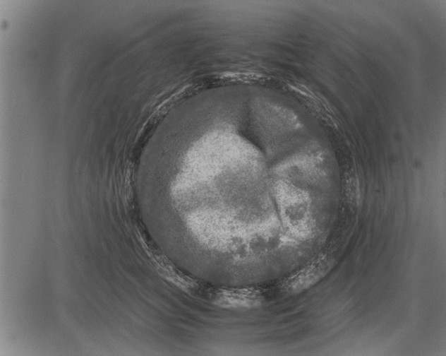 X0000081450757200702021742