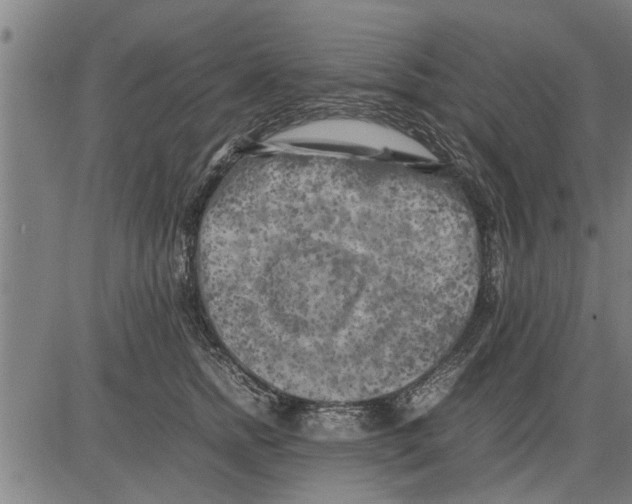 X0000081450758200702021742