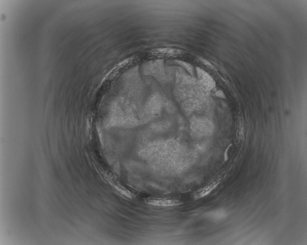 X0000081450759200702021742