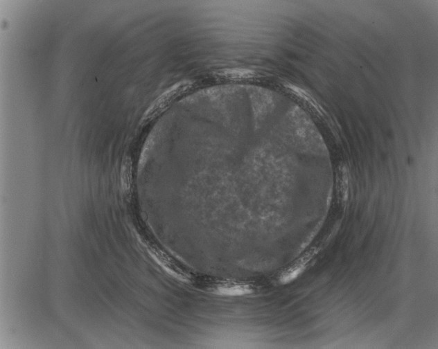 X0000081450760200702021742