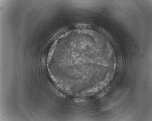 X0000081450761200702021742