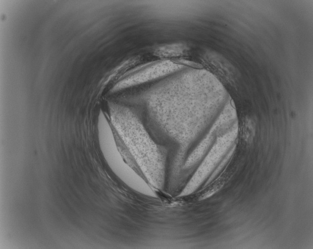 X0000081450763200702021742