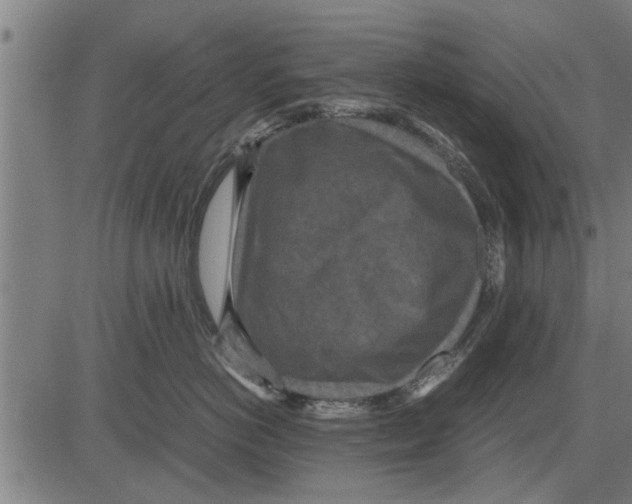 X0000081450766200702021742