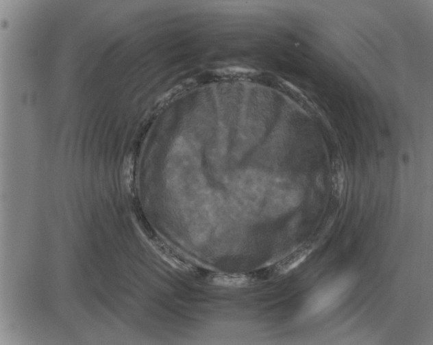 X0000081450767200702021742