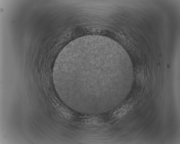 X0000081450769200702021741