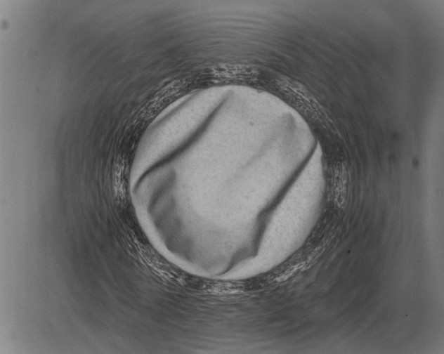 X0000081450770200702021741