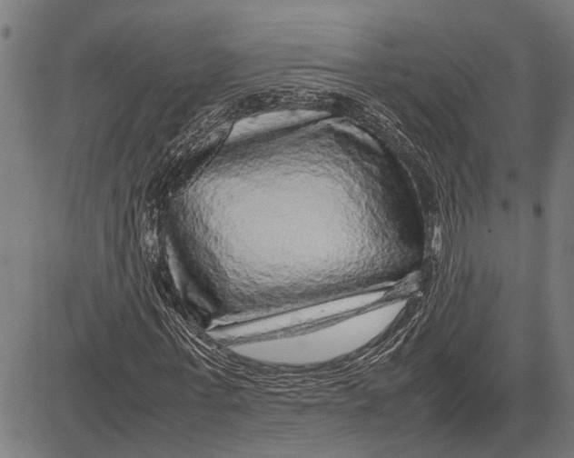 X0000081450771200702021741