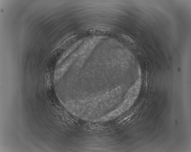 X0000081450774200702021741