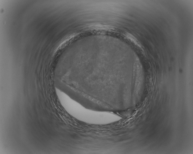 X0000081450775200702021741