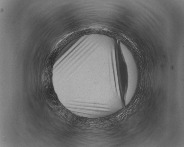 X0000081450776200702021741