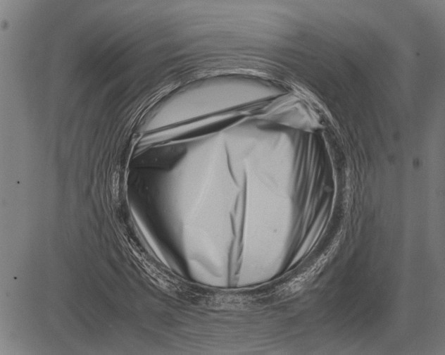 X0000081450777200702021741