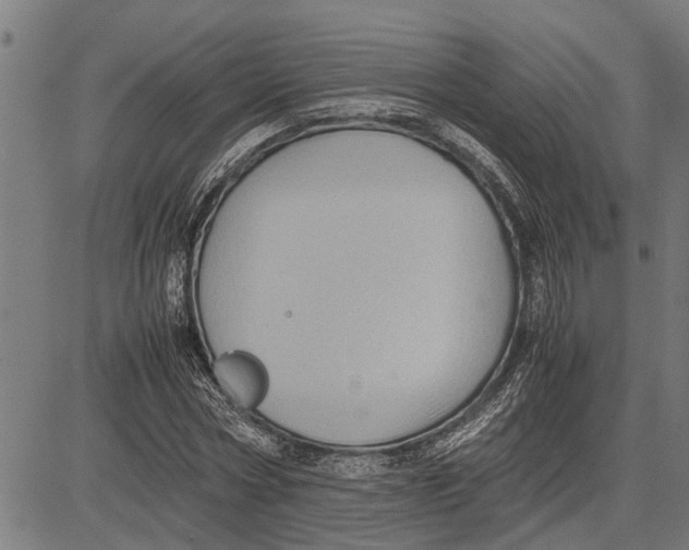 X0000081450778200702021741