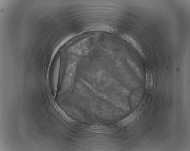 X0000081450780200702021741