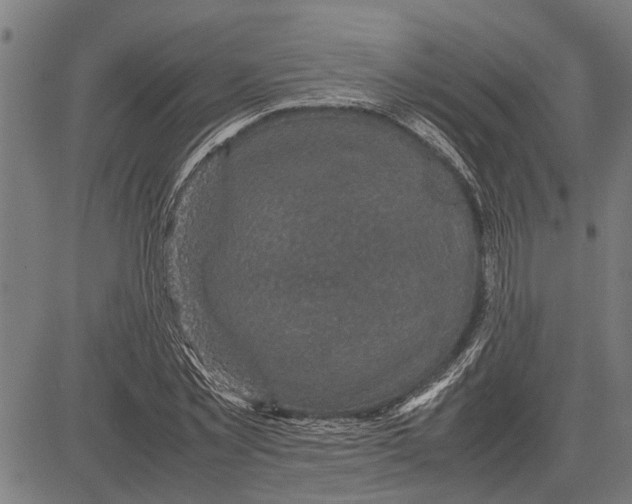 X0000081450781200702021741