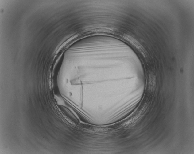 X0000081450782200702021741