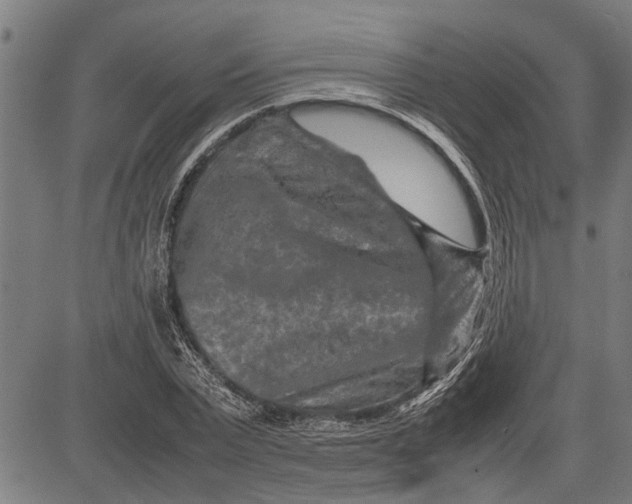 X0000081450783200702021741