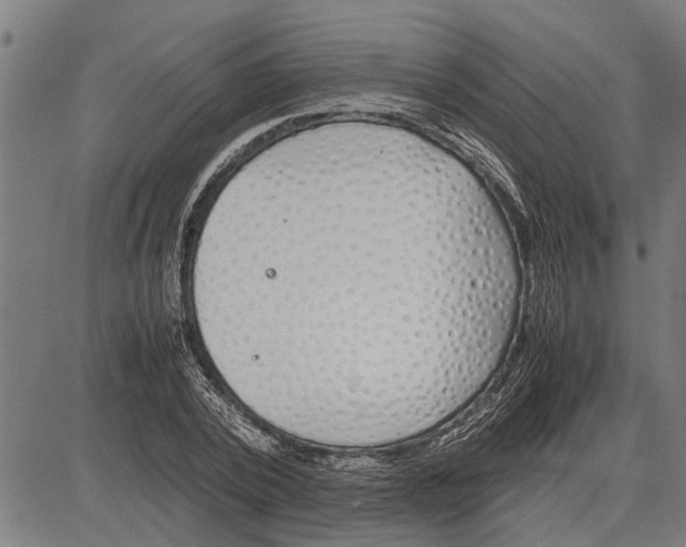 X0000081450784200702021741