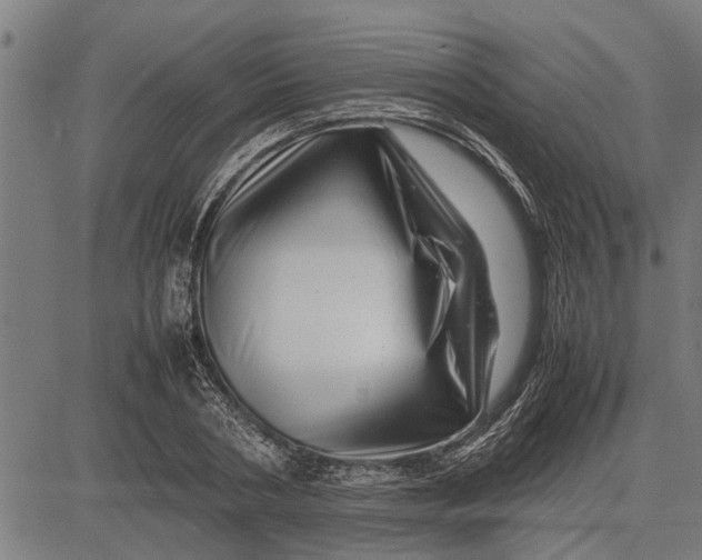 X0000081450786200702021741