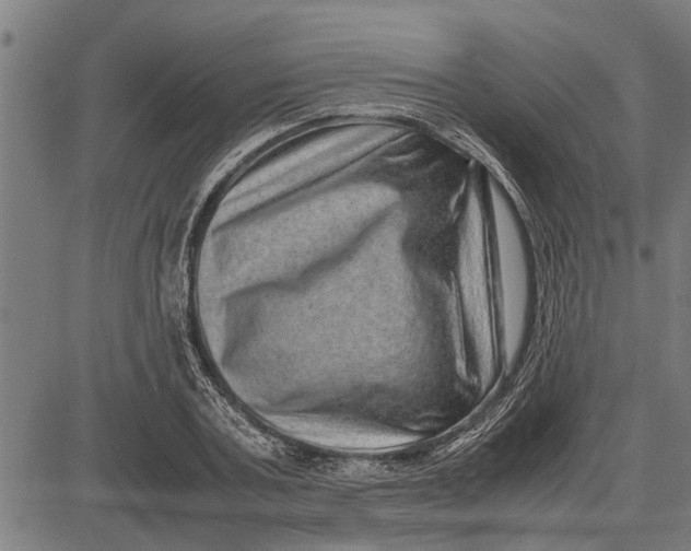 X0000081450787200702021741