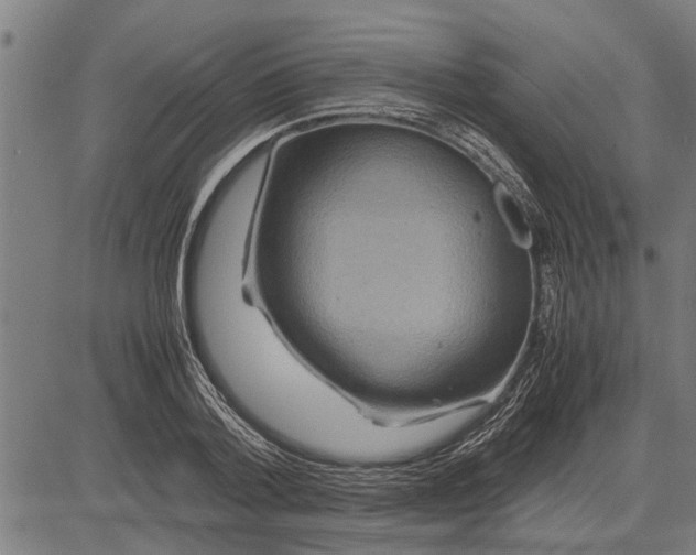 X0000081450788200702021741