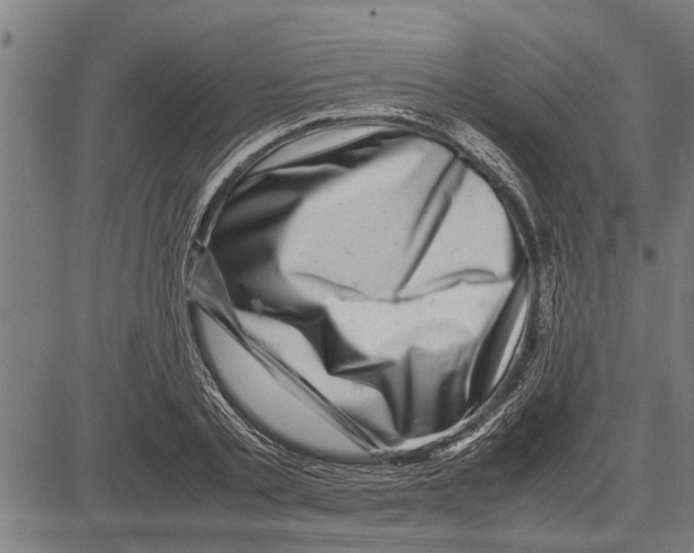 X0000081450789200702021741