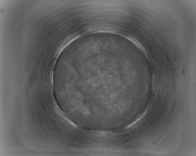 X0000081450790200702021741