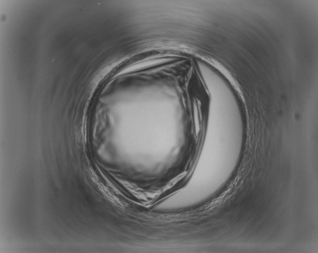 X0000081450791200702021741