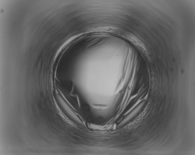 X0000081450792200702021741