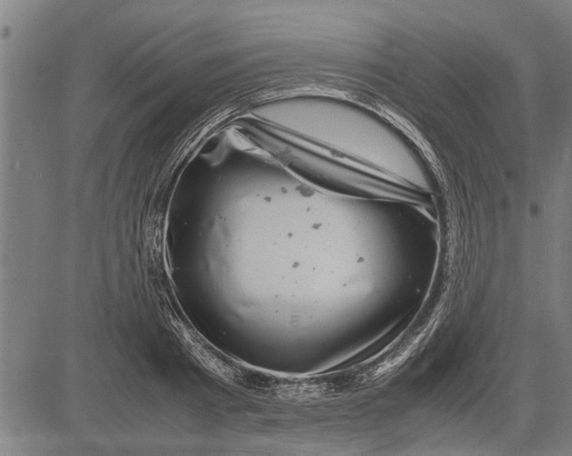 X0000081450793200702021741