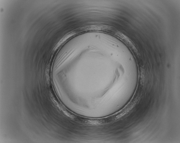 X0000081450794200702021741