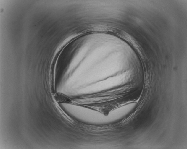 X0000081450795200702021741