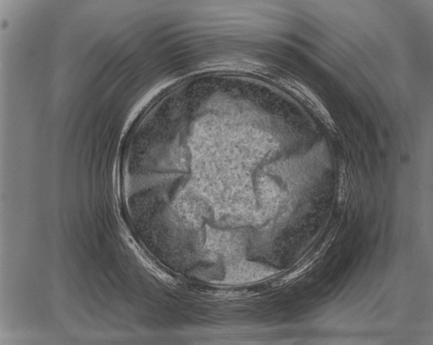 X0000081450796200702021741