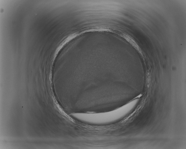 X0000081450797200702021741